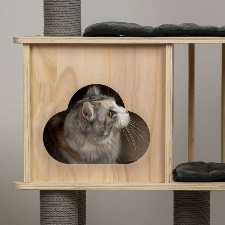 dobar Kratzbaum Mila